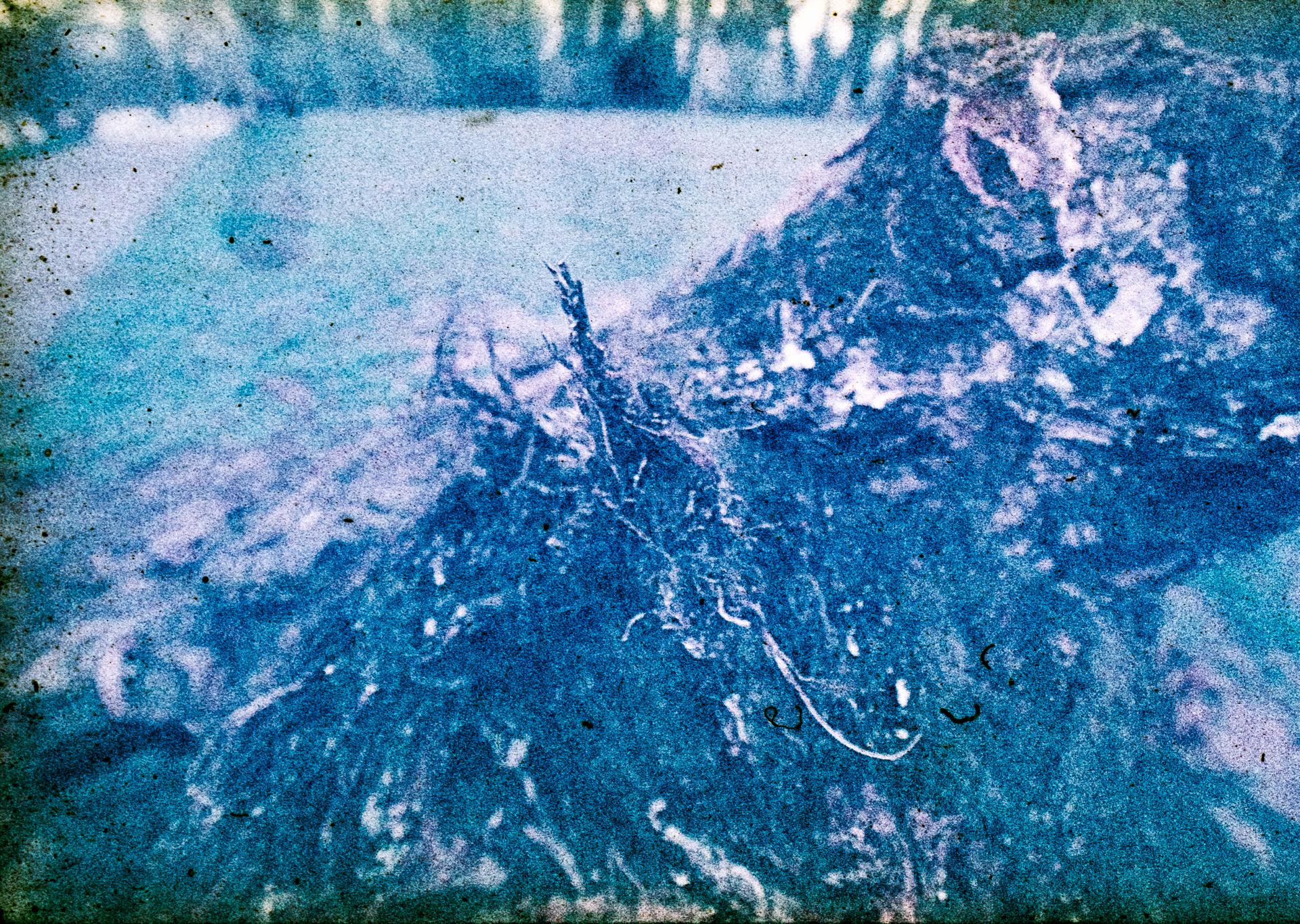 Thumbnail /2022 Brandenburg/Fürstenwalde/Laub Fürstenwalde.jpg